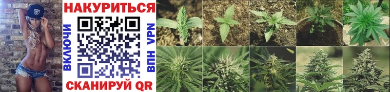 Купить Кандалакша kraken ссылки COCAIN Мефедрон Канабис АМФ