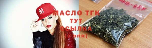гидра Абаза