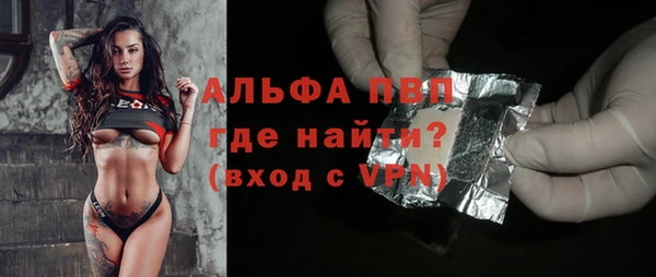 гидра Абаза