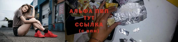 гидра Абаза