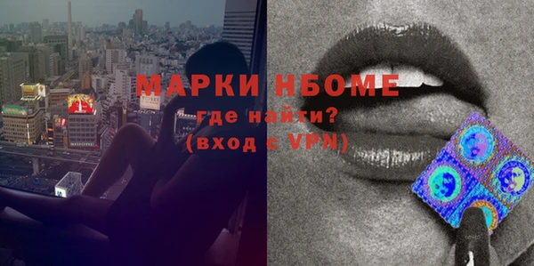 гидра Абаза