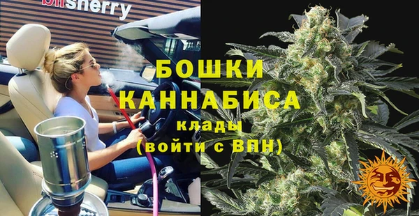 гидра Абаза