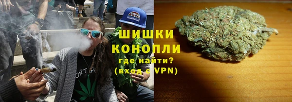 гидра Абаза