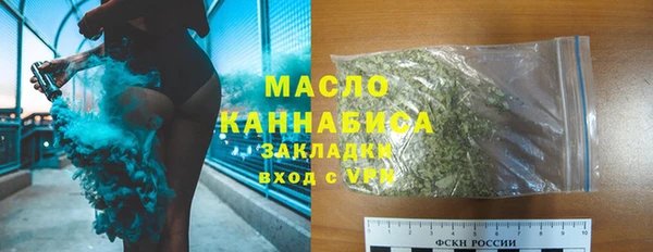 гидра Абаза
