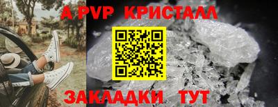 прущие грибы Канаш