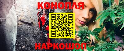 spice Кингисепп