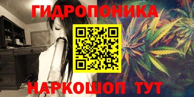 прущие грибы Канаш