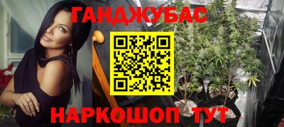 гашик Кимры