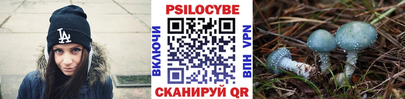Галлюциногенные грибы прущие грибы  купить закладку  гидра маркетплейс  Кандалакша 
