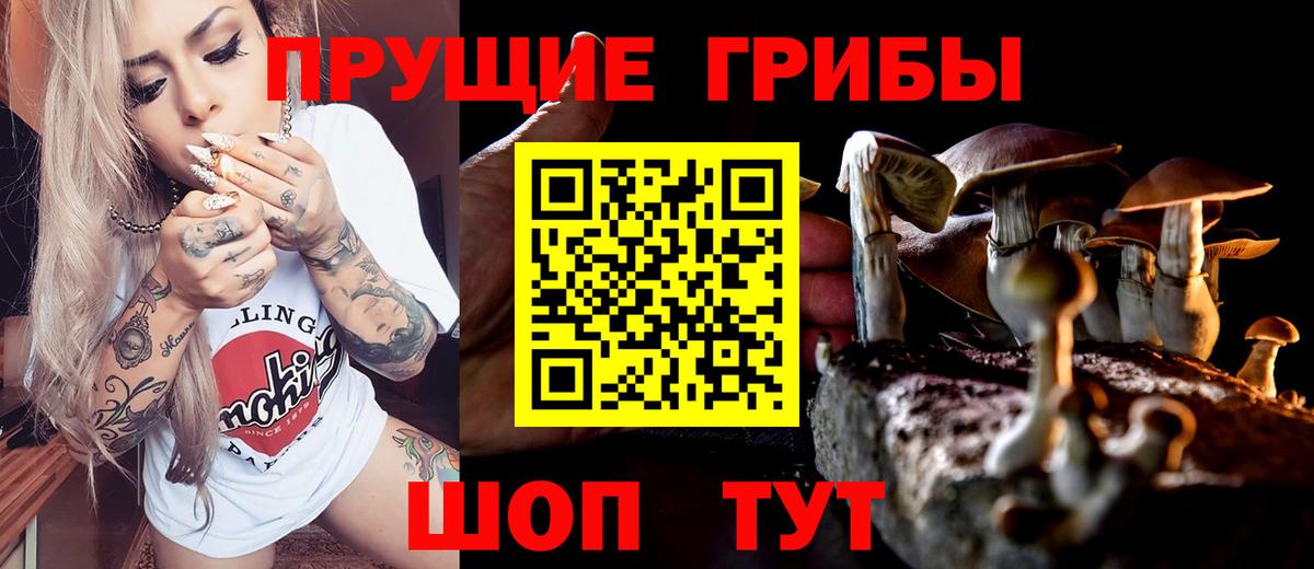 Галлюциногенные грибы ЛСД Кандалакша